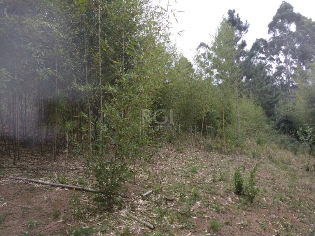 Imagem Área para Venda - 11,39ha, bairro Belém Velho