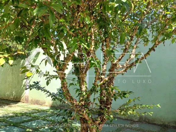 Imagem Maravilhosa chácara à venda no condomínio Horizonte Azul I em Itupeva