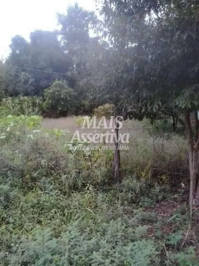 Foto do imóvel Terreno para Venda em São Leopoldo / RS