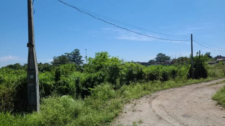 Imagem Área à venda, 15000 m² por R$ 4.530.000,00 - Caxangá - Suzano/SP