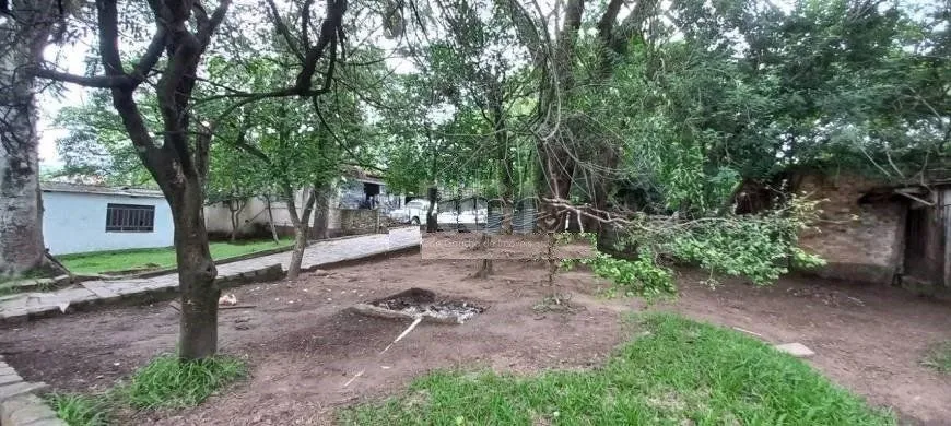 Imagem Terreno em Camaquã