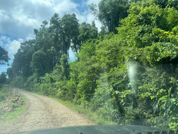 Imagem Terreno para Venda em Itá, SC 155