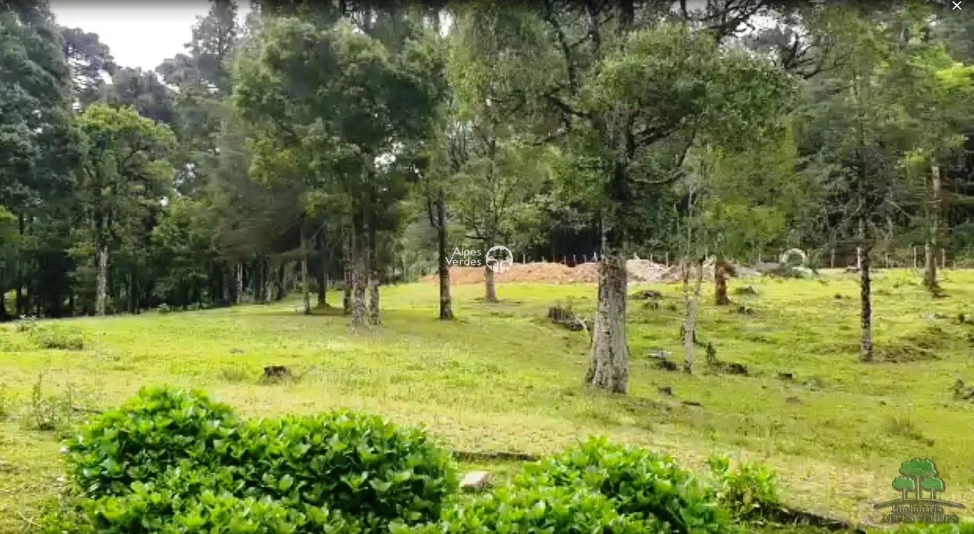 Imagem Oportunidade para Investidores Terreno à venda em Canela/RS