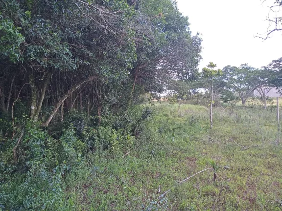 Imagem INVESTIDORES !!! - Excelente área de 2 Hectares, em Águas Claras, Viamão