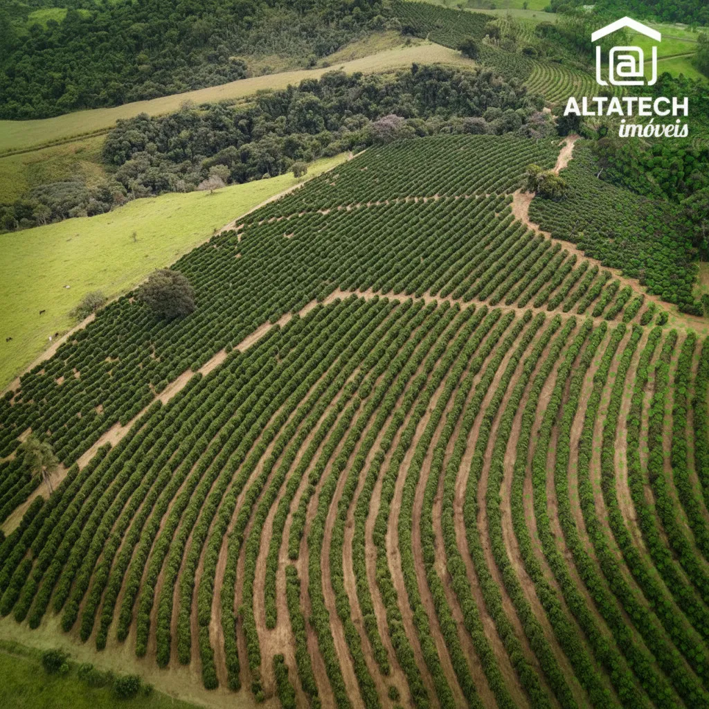Imagem Fazenda 0 ha à venda em Roseira, Bandeira do Sul