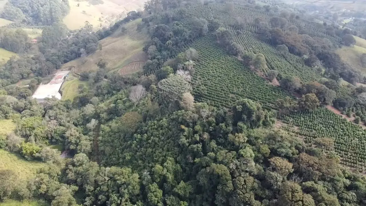Imagem Sítio 3,63 ha à venda em Primos, Campestre