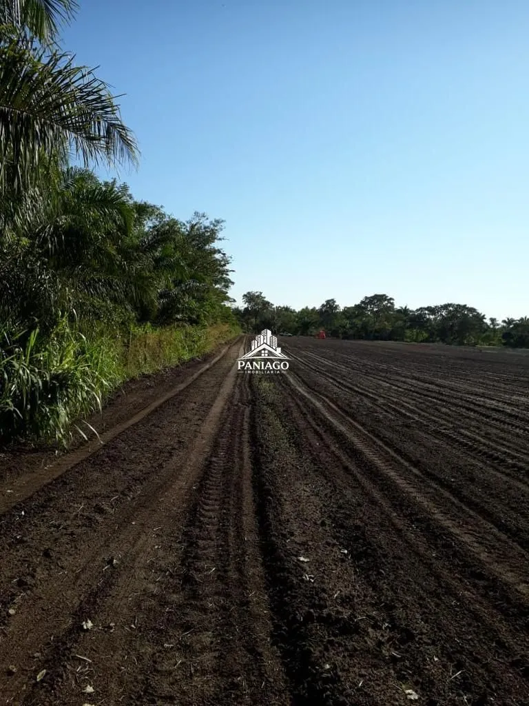 Imagem Sítio de 10,63 Hectares à Venda em Leverger/MT | Estrutura para Pecuária