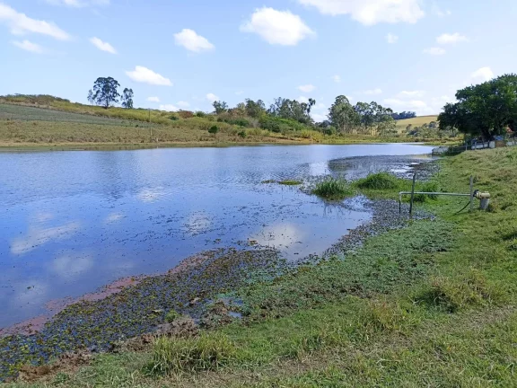 Imagem Sitio com água abundante - OPORTUNIDADE no Interior de São Paulo