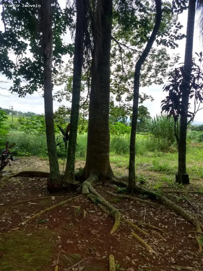 Imagem Sítio para Venda em Suzano, Ipelândia
