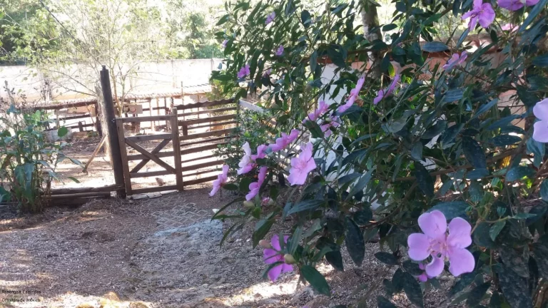 Imagem CHACARA RURAL em CALDAS - MG, LARANJEIRAS