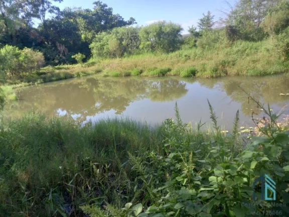 Imagem Sitio 5 alqueires, no América da colina a 3 km do centro da cidade - PR