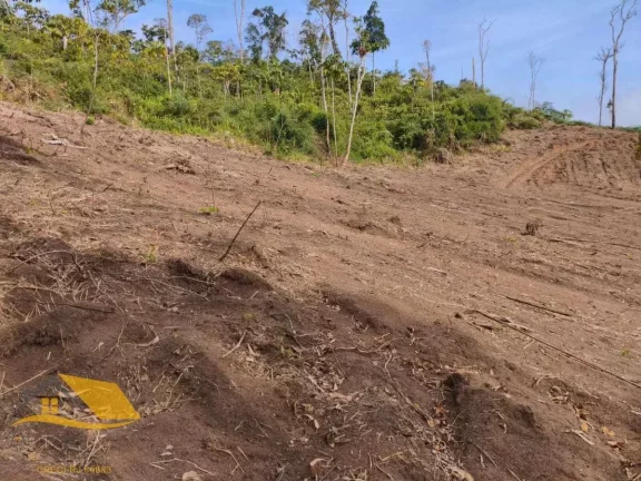 Imagem Vendo Àrea Rural a partir de 10 mil mts², Boa Topografia, Com RGI