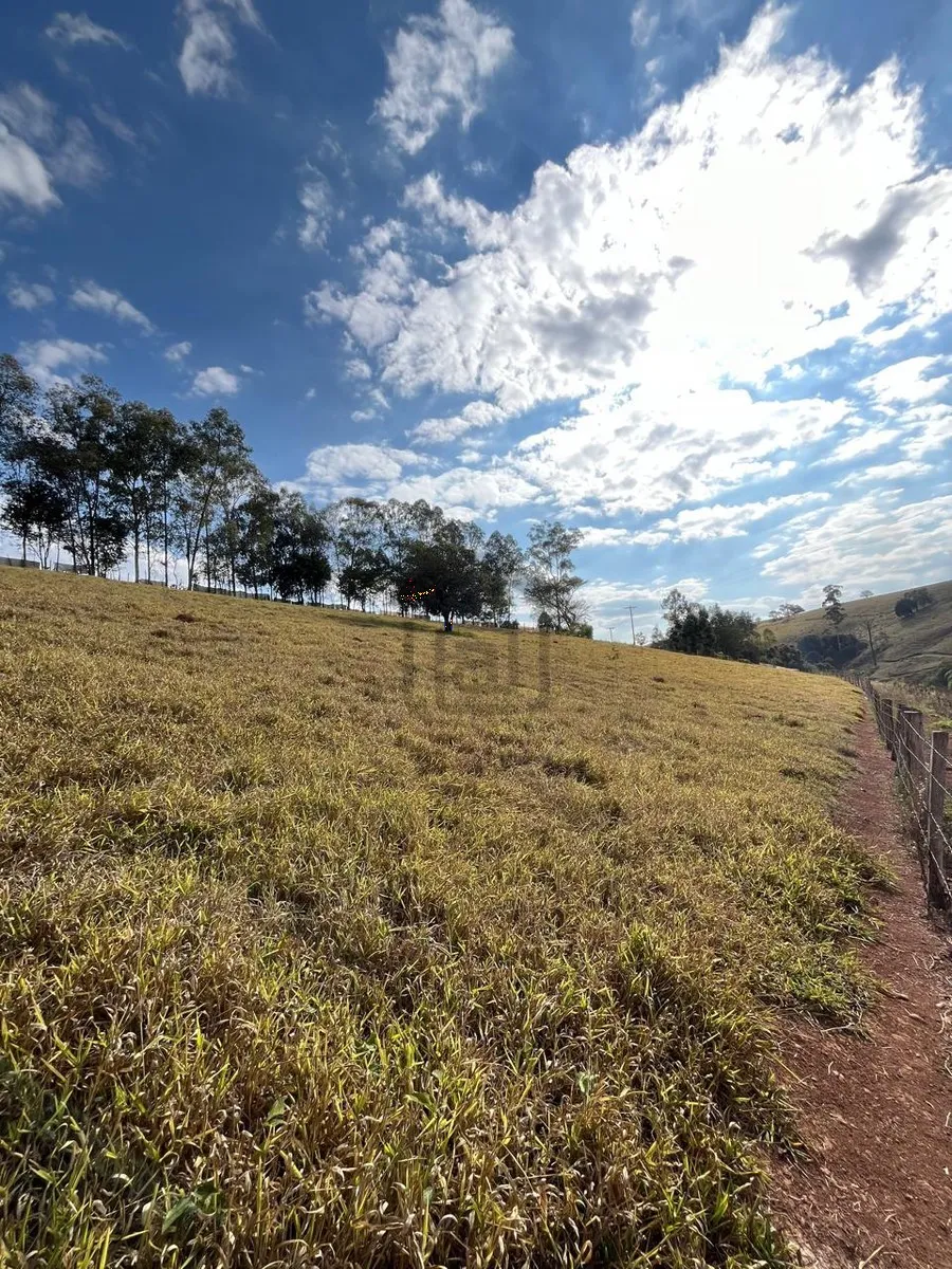 Imagem Chácara 24.800 m² à venda em Capituvas, Campestre