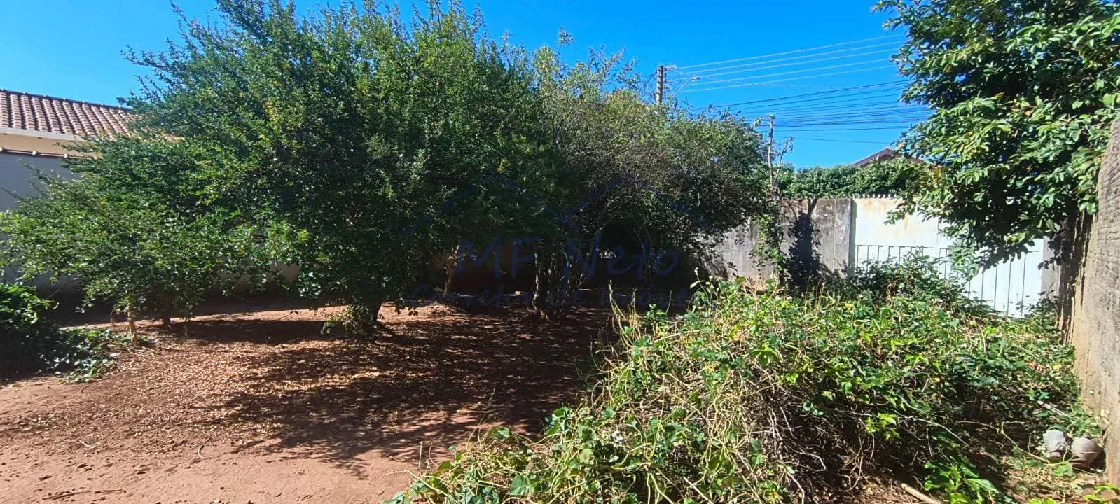 Imagem Terreno Padrão