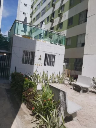 Imagem Apartamento de 40m² com 1 quarto à venda, localizado em Piedade, Jaboatão dos Guararapes - Pernambuco.