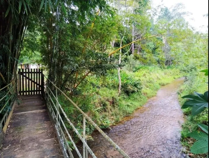 Foto do imóvel Chácara à venda 3 Quartos, 1 Suite, 488000M², Zona Rural, Monteiro Lobato - SP