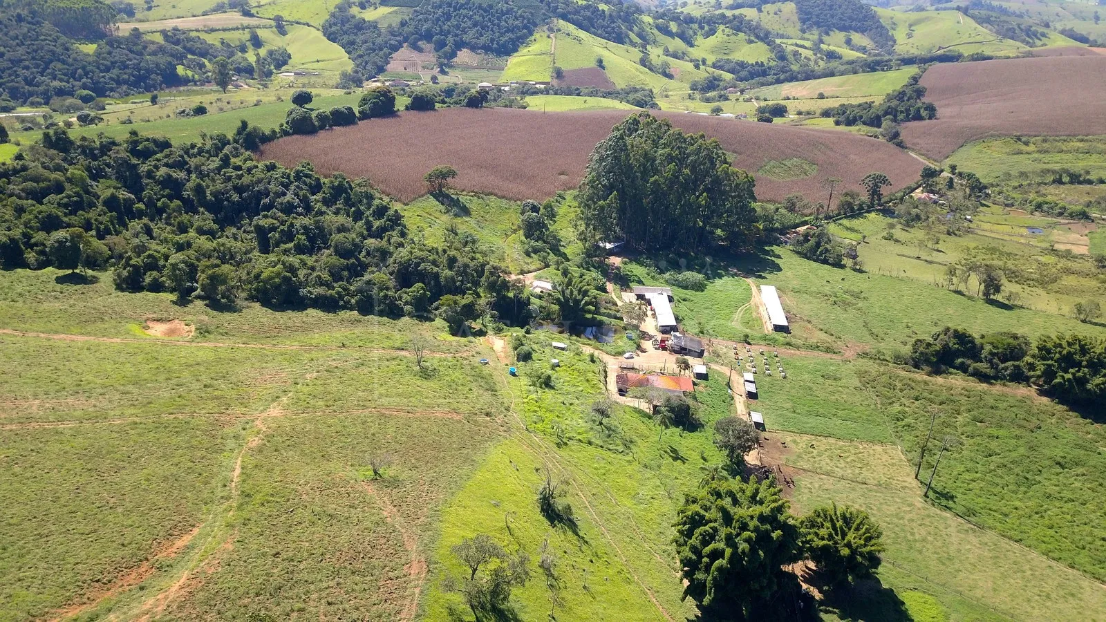 Imagem Sítio 24,2 ha à venda em Área Rural, Caldas