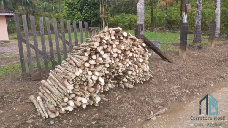 Imagem Área 331.540 mil m², Serra Negra município de Guaraqueçaba - PR (PERMUTA EM CURITIBA PR)