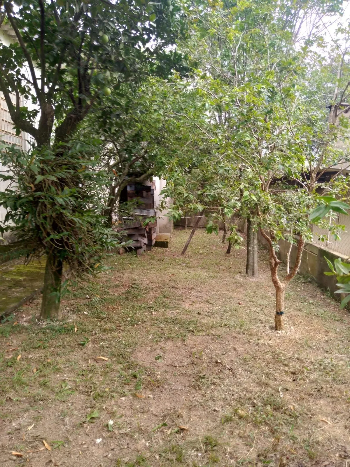 Imagem Casa Comercial em Morro Santana