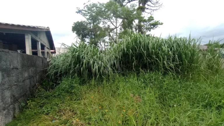 Imagem TERRENO, 592M², BALNEÁRIO DAS PALMEIRAS