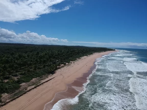 Imagem Paraíso frente mar