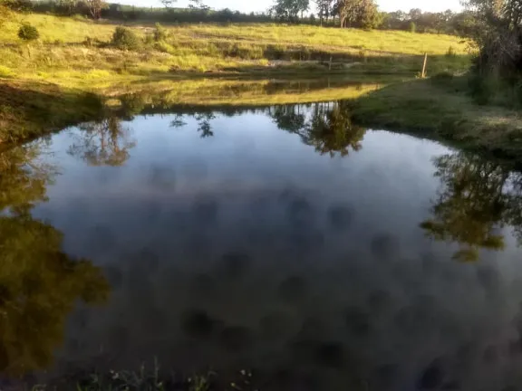 Imagem Fazenda à Venda, 36.000 m² em Aparecidinha - Araçoiaba da Serra