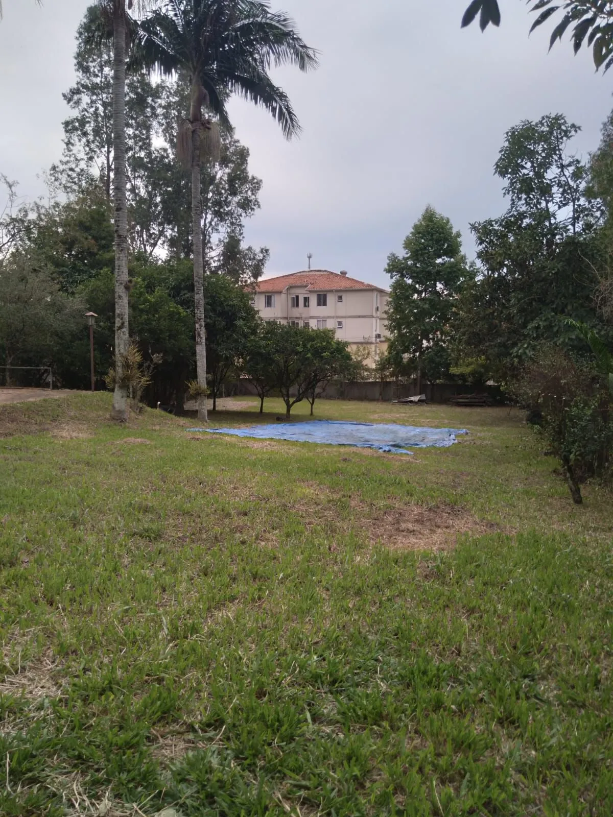 Imagem Casa Comercial em Morro Santana