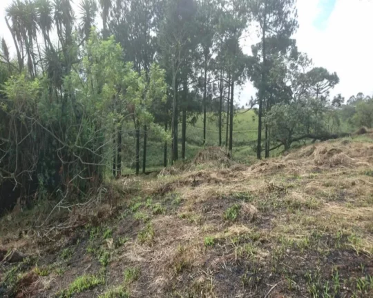 Imagem TERRENO À VENDA, 12750 M POR R$ 4.500.000,00 - POTUVERÁ - ITAPECERICA DA SERRA/SP