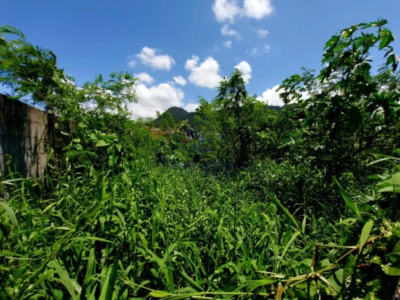 Imagem Terreno bem localizado de 300m² - Jardim Stela Maris -Martim de Sá - Caraguatatuba/SP