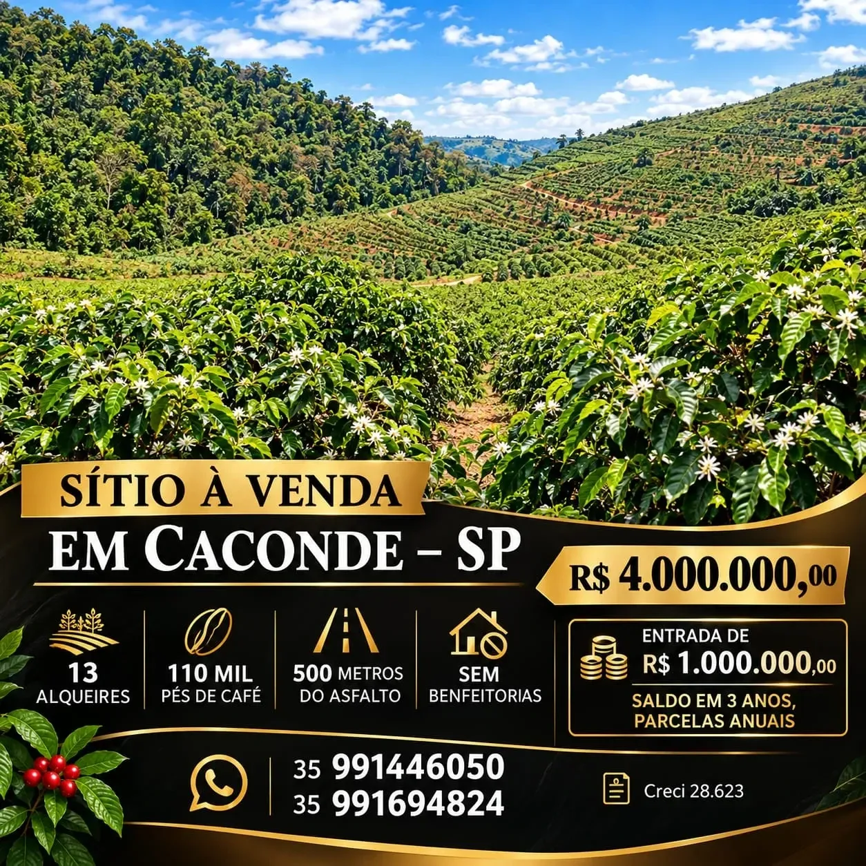 Sítio à Venda, 13 alqueireSP em , 1 - Zona Rural, Caconde - SP