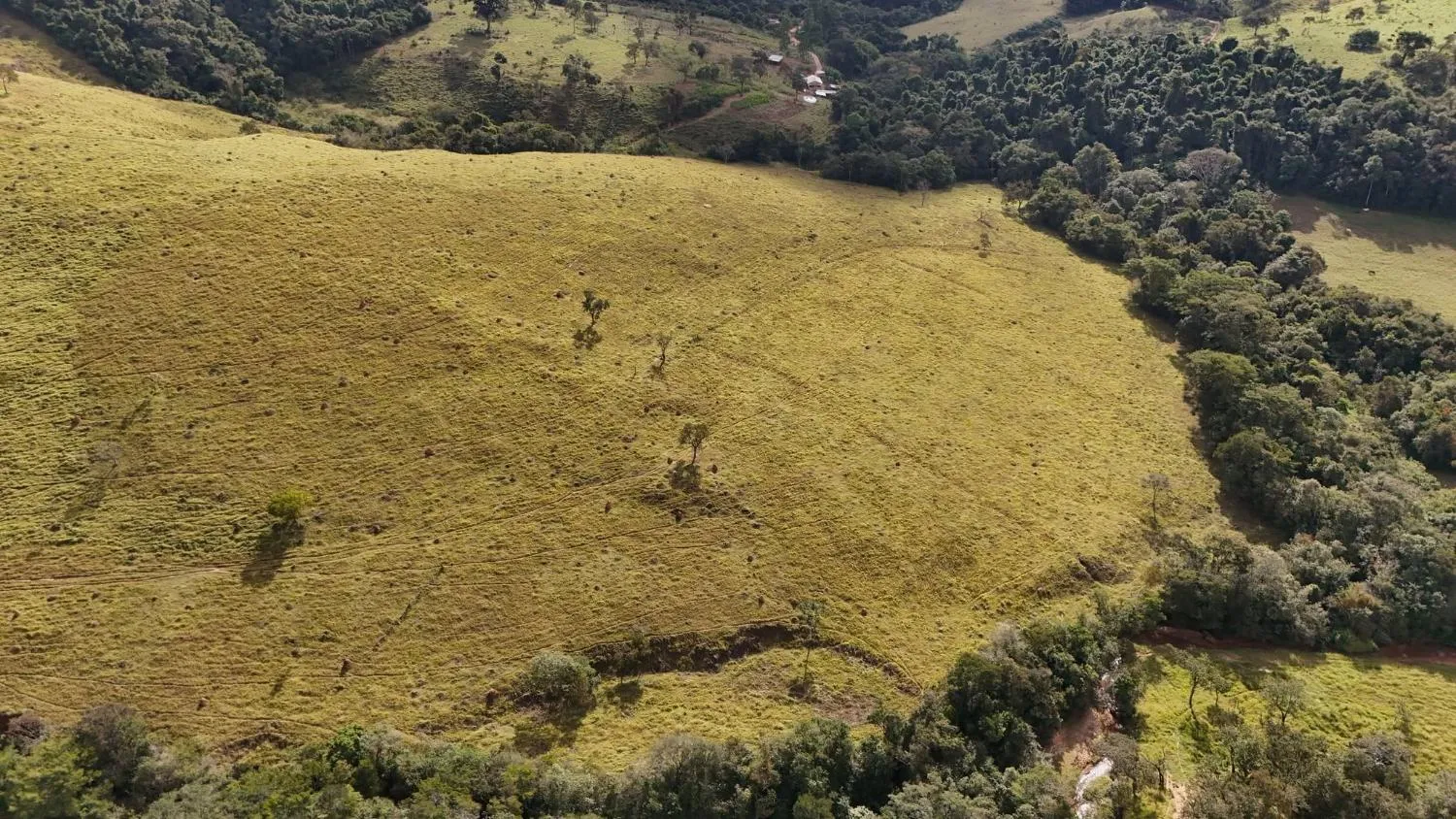 Imagem Fazenda à Venda em Belo Vale/MG ? 42 Hectares | R$ 2.800.000,00