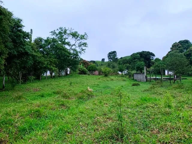 Imagem Chácara à venda, Borba, Pindamonhangaba, SP