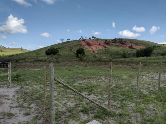 Imagem Terreno à Venda, 5.000 m² em Buarque de Macedo - Conselheiro Lafaiete