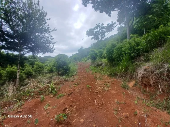 Imagem Terreno para Venda em Concórdia, Santo Antônio