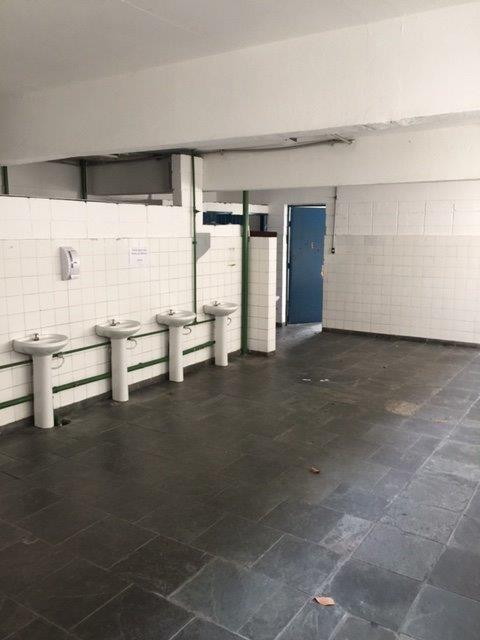 Imagem Galpão para Alugar, 3247 metros em Vila Ribeiro de Barros - São Paulo