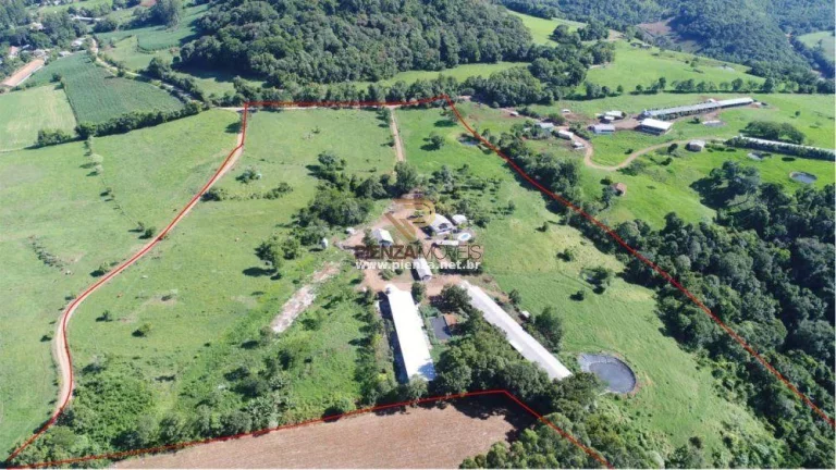 Imagem Área Agrícola para Venda em Lindóia do Sul, Rural