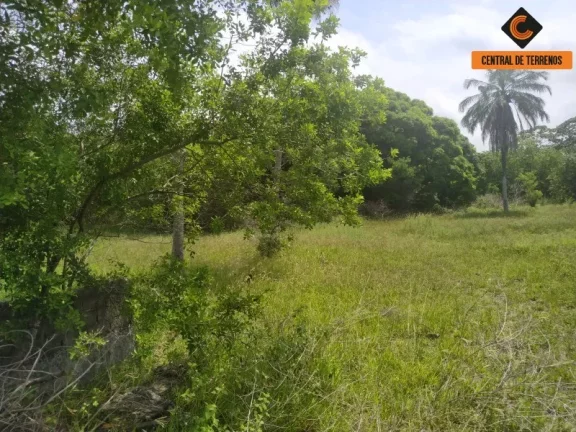 Imagem TERRENO EM ABRANTES