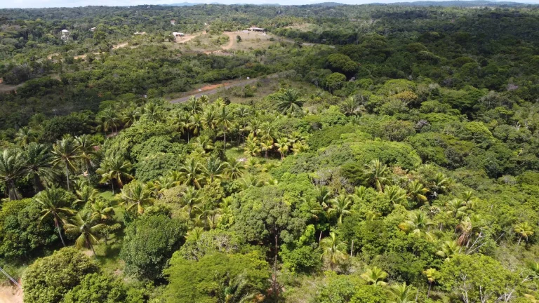 Imagem Excelente terreno em Itacaré cerca de 2 km do centro da cidade com linda vista para formosa peníns...