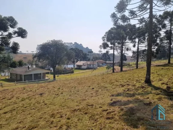 Imagem Sítio/Chácara a venda com 33 hectares bem localizado no interior de São Joaquim - SC
