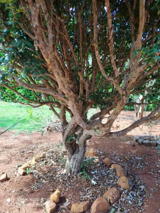 Imagem Chácara com 1 Quarto à Venda, 200 m² em Condominio Bela Vista  - Santo Antônio de Goiás
