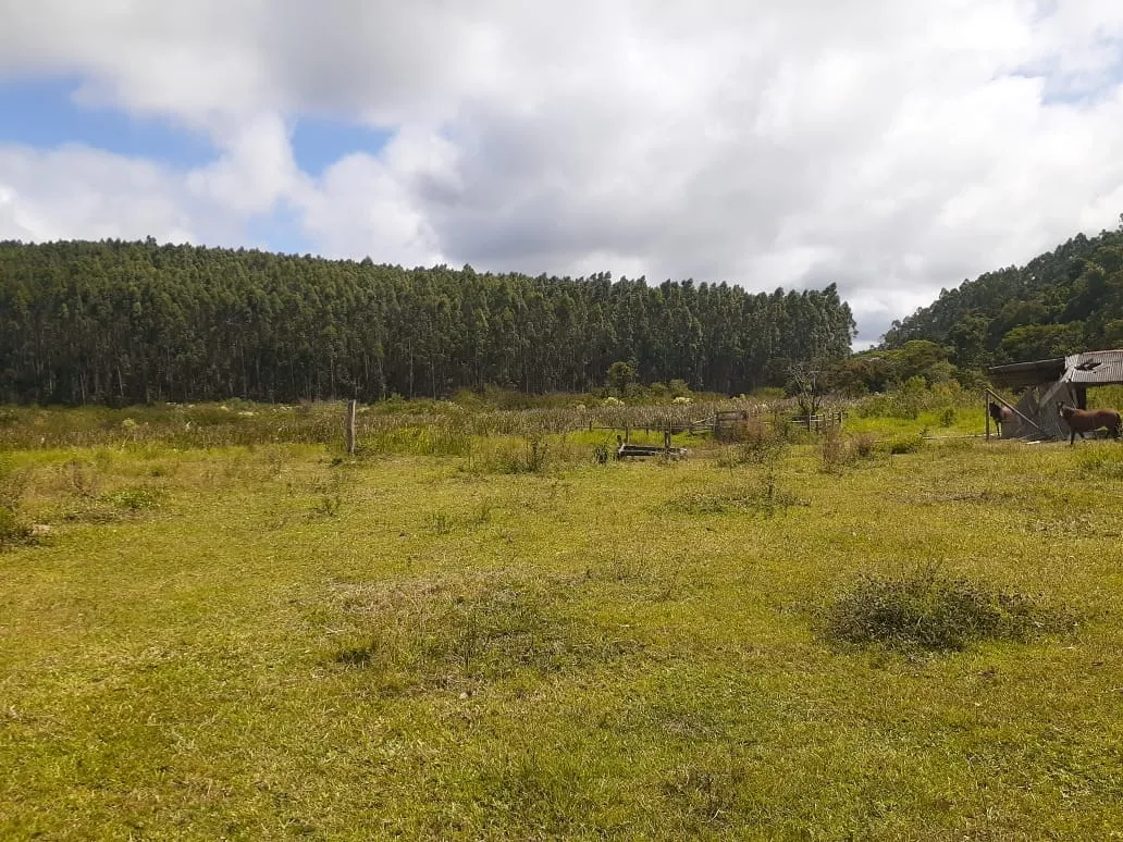 Imagem Chácara à venda 1700000M², Centro, São Luiz do Paraitinga - SP