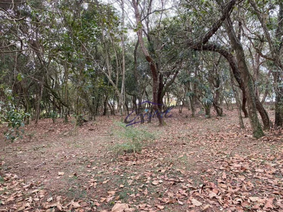 Foto do imóvel Terreno à venda, 1575 m² por R$ 1.450.000,00 - Cotia - Cotia/SP