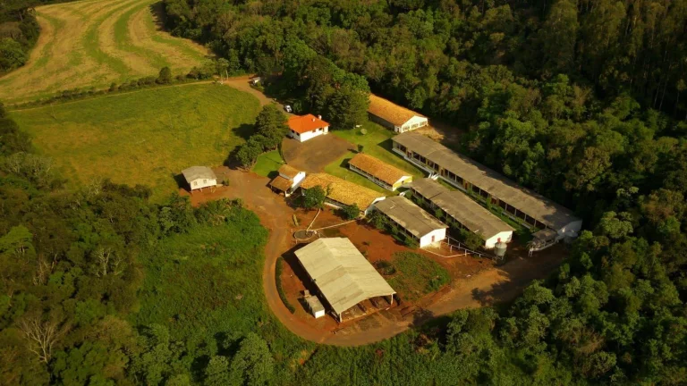 Imagem Granja para Venda em Concórdia, Rural