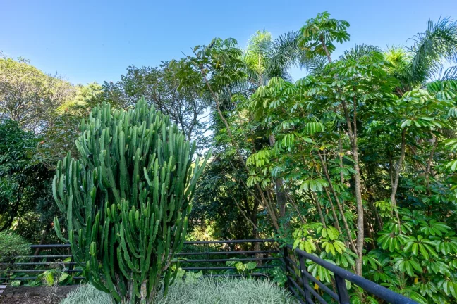 Imagem Apartamento à venda em São Paulo, Vila Morse, com 4 quartos, 225m2