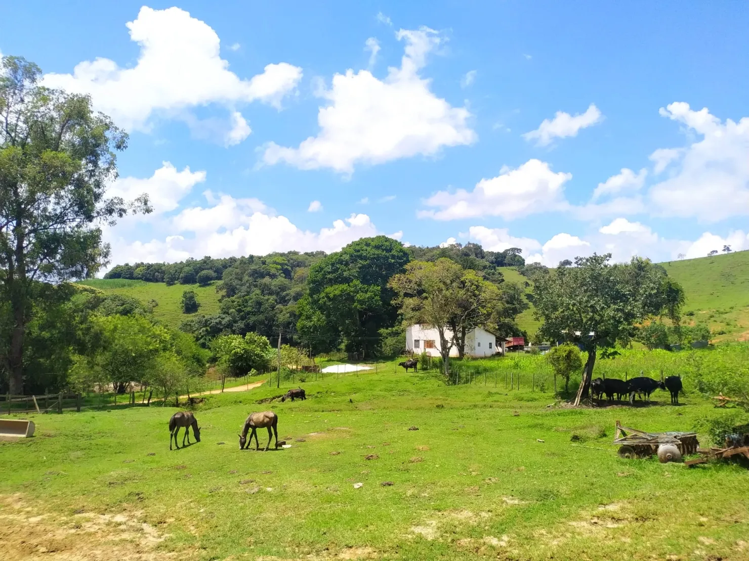Imagem Chácara à venda 2 Quartos, 411400M², Zona Rural, Cunha - SP