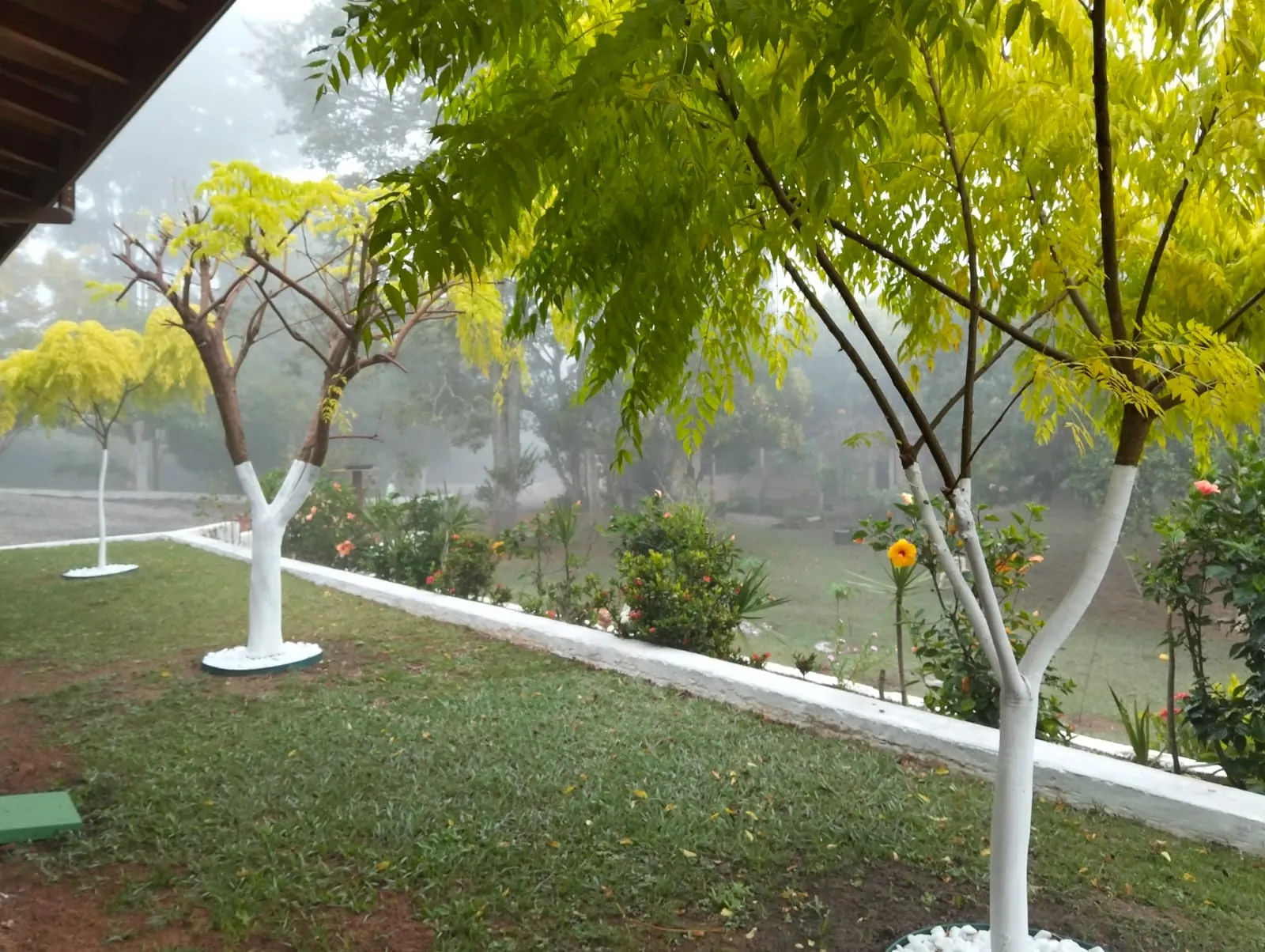 Imagem Linda Chácara no Bairro da Grama em Paraibuna - 6160 metros de terreno