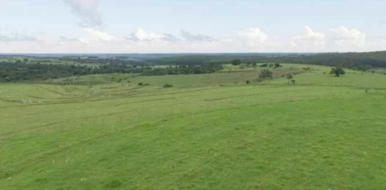 Imagem Fazenda a VENDA, 66 alqueires, Região Bauru