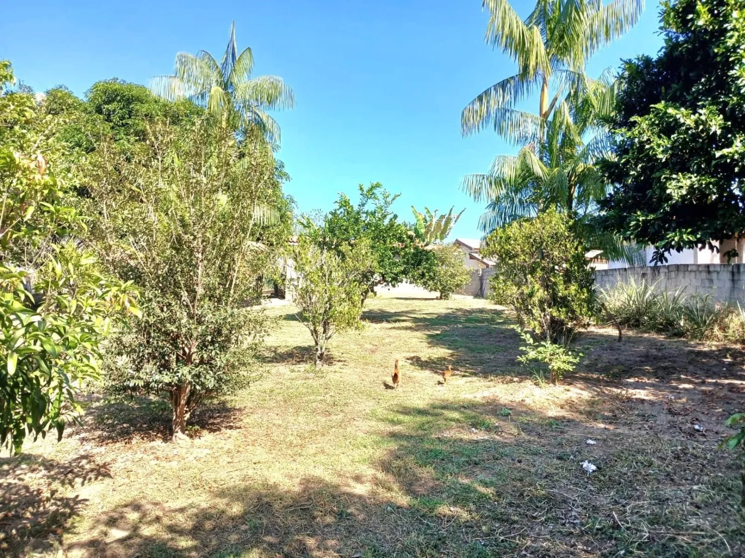 Imagem Chácara à venda e locação 3 Quartos, 3950M², Goiabal, Pindamonhangaba - SP