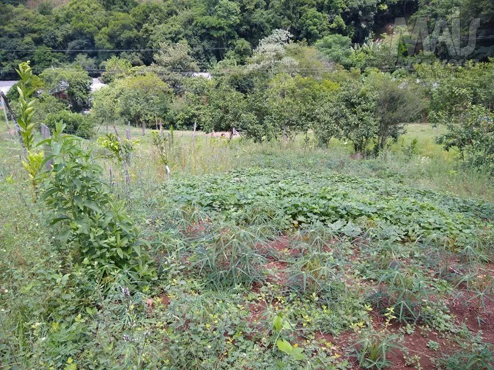 Imagem Terreno para venda Alto Caraá - 800m²