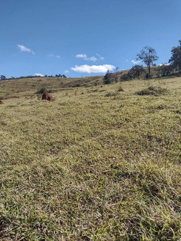 Imagem Vendo terreno em Crucilândia com 48 hectares de terra